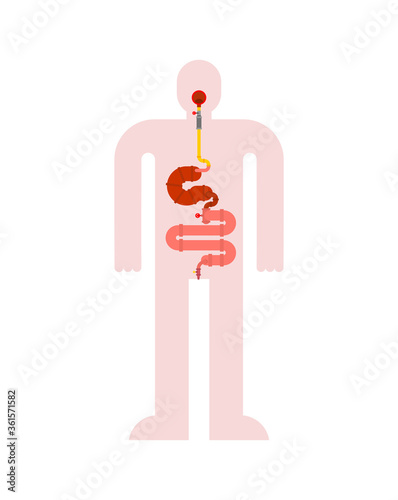 Metal digestive tract. Iron stomach and intestines. Robotic internal organ. Cyborg organs. Robot gut