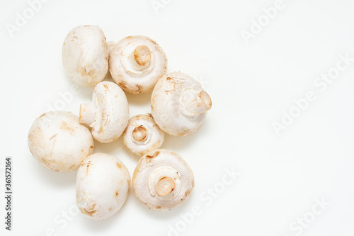 Group of fresh champignon mushroom on white background. Top view. Free space for text.