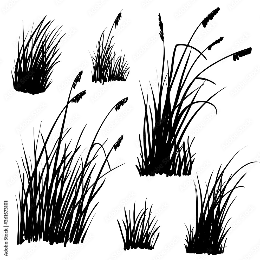 Set of hand-drawn beach grass. Vector silhouettes isolated on white.