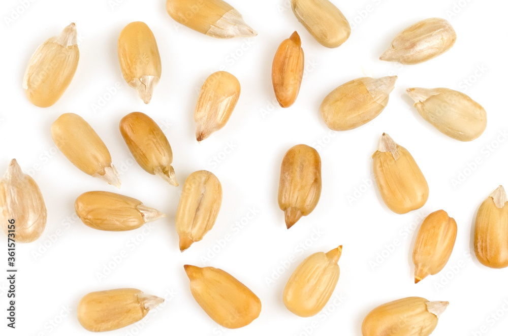 Obraz premium Peeled sunflower seeds on a white background. Isolate A handful of seeds close-up. Macro. Pattern