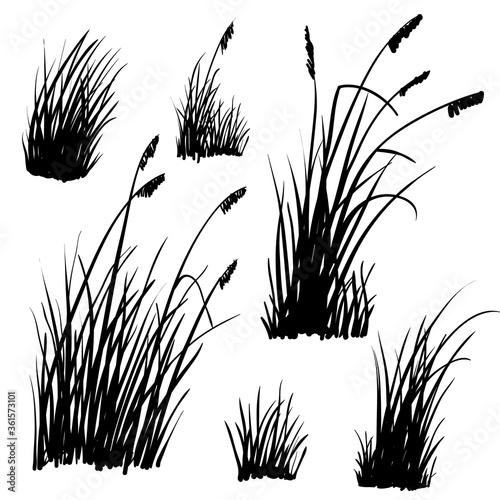 Set of hand-drawn beach grass. Vector silhouettes isolated on white.