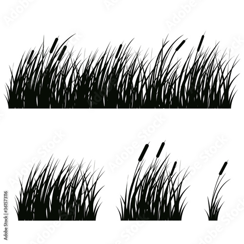 Set of hand-drawn beach grass. Vector silhouettes isolated on white.