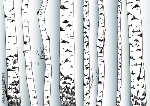 Birches repeated border. Cutout hand drawn paper silhouettes.
