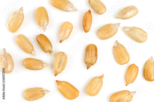 Peeled sunflower seeds on a white background. Isolate A handful of seeds close-up. Macro. Pattern