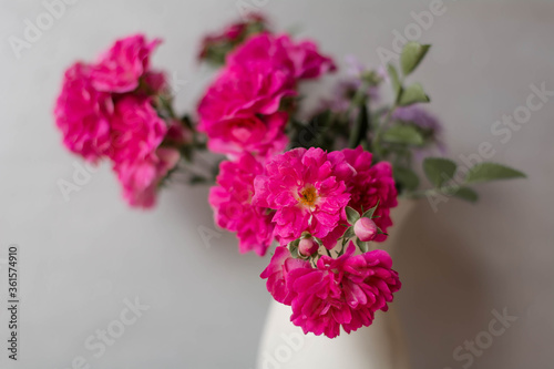 pink roses in a vase © Юлія Дерід