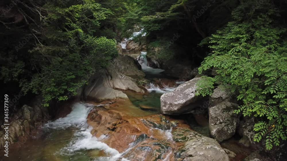 奈良県 十津川村 笹の滝 新緑の渓谷