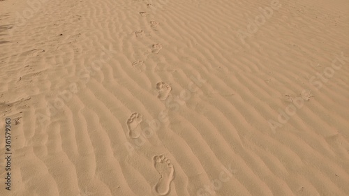 Human footprint on designed dust waves in desert field