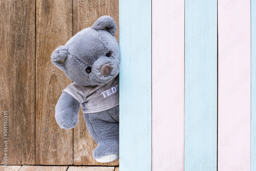 Φωτογραφία Cute gray teddy bear sneak behind the colorful wooden door isolated on old wood background