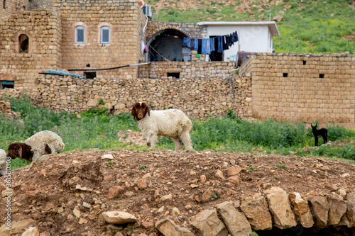 View from the village of Bilali near Mardin. Very few people live in this syriac village today. photo