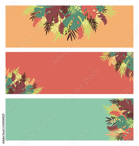 Set of  tropical floral leaves vector banner vector