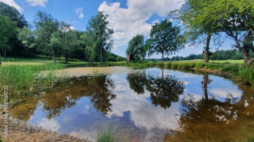 Pond in Windsor Great Park, UK