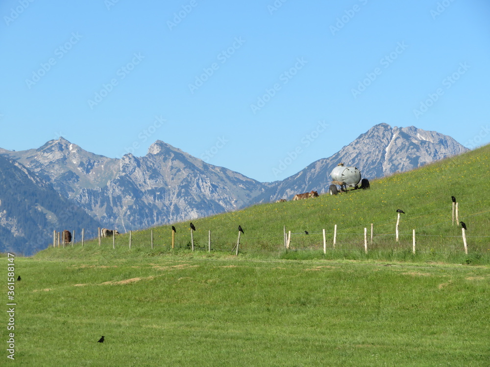 Allgäu