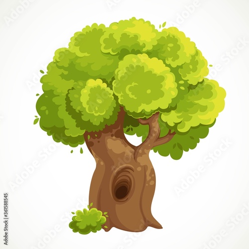 Summer big old tree with a hollow and lush green foliage vector drawing isolated on white background