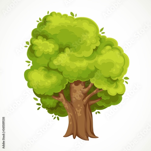 Summer big old tree with green foliage vector drawing isolated on white background