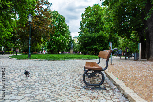 Green park in prague. An empty bench near which a pigeon sits © Kate