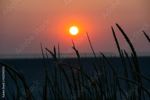 The setting sun in the dunes of St. Peter Ording