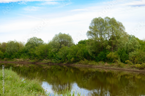 Summer landscape with a river and green banks