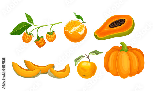 Vegetables and Fruits with Ripe Pumpkin and Papaya Vector Set