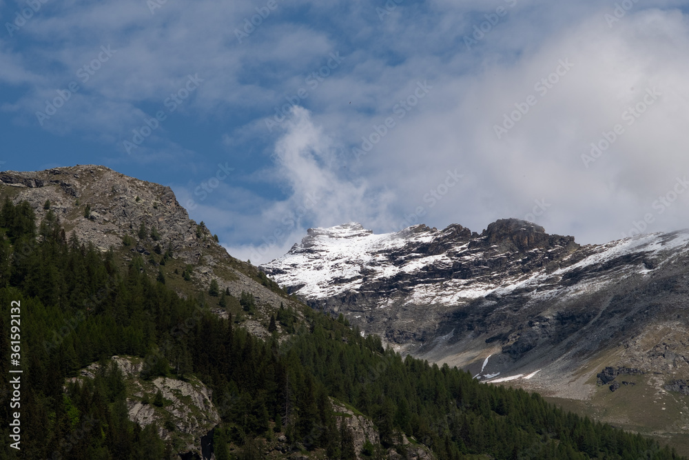 Paesaggio in valle d'Aosta delle alpi con la neve e il bosco di alta quota.