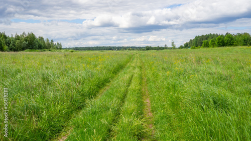 Beautiful rural road in green field or meadow in summer against dramatic sky. Nature background.