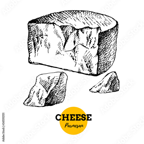 Hand drawn sketch cheese parmesan background. Vector illustration of natural milk foods