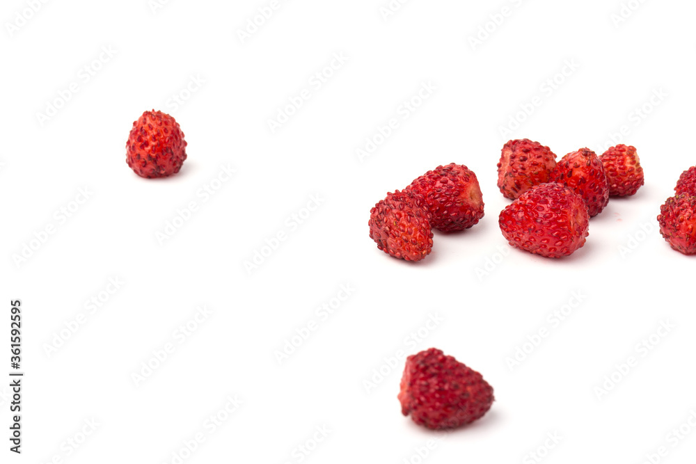Macro view wild strawberry on white background. Forest red berries Macro view wild strawberry on white background. Forest red berries