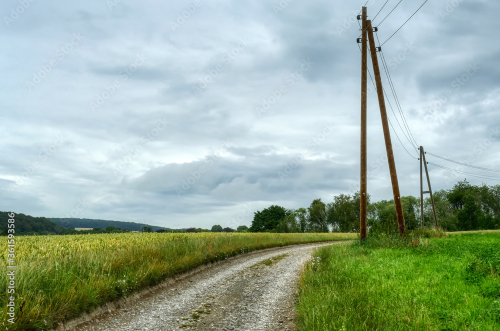 Fototapeta premium Weg durch die Felder bei Wülfrath-Aprath im Sommer