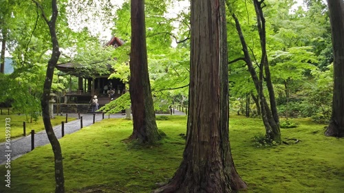 京都 大原 三千院 新緑と初夏の景色