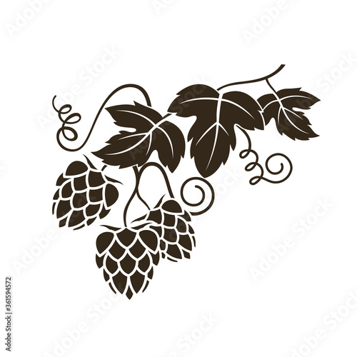 illustration of hop for brewing isolated on white background