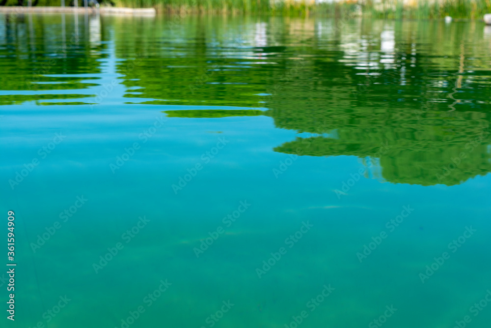 Natural Plant Filtered Swimming Pool