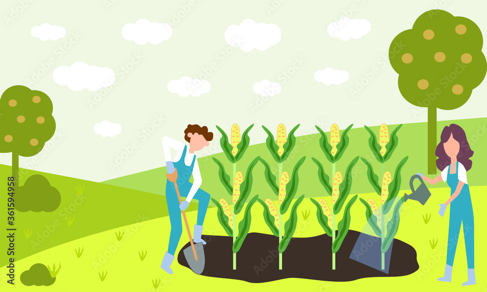Fototapeta premium Two farmers grow corn on the field, the vector chart