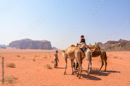 Camel in desert. Wadi Rum, Jordan
