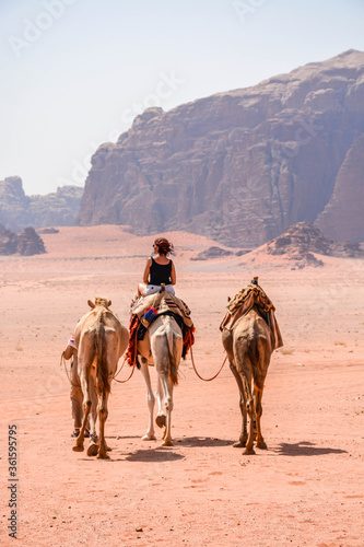 Camel in desert. Wadi Rum, Jordan
