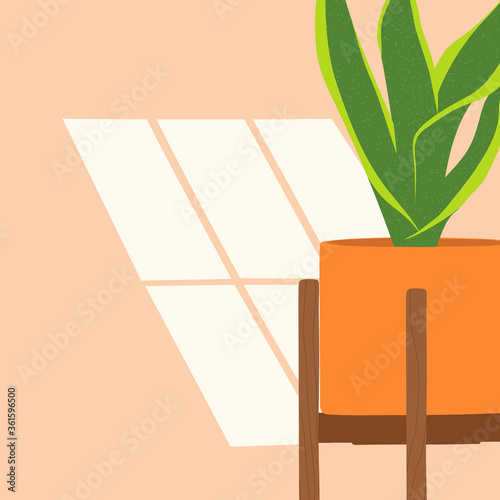 Hand drawn illustration with tropical house plant and shadow. Modern and elegant home decor in scandinavian style. Vector poster design with empty space