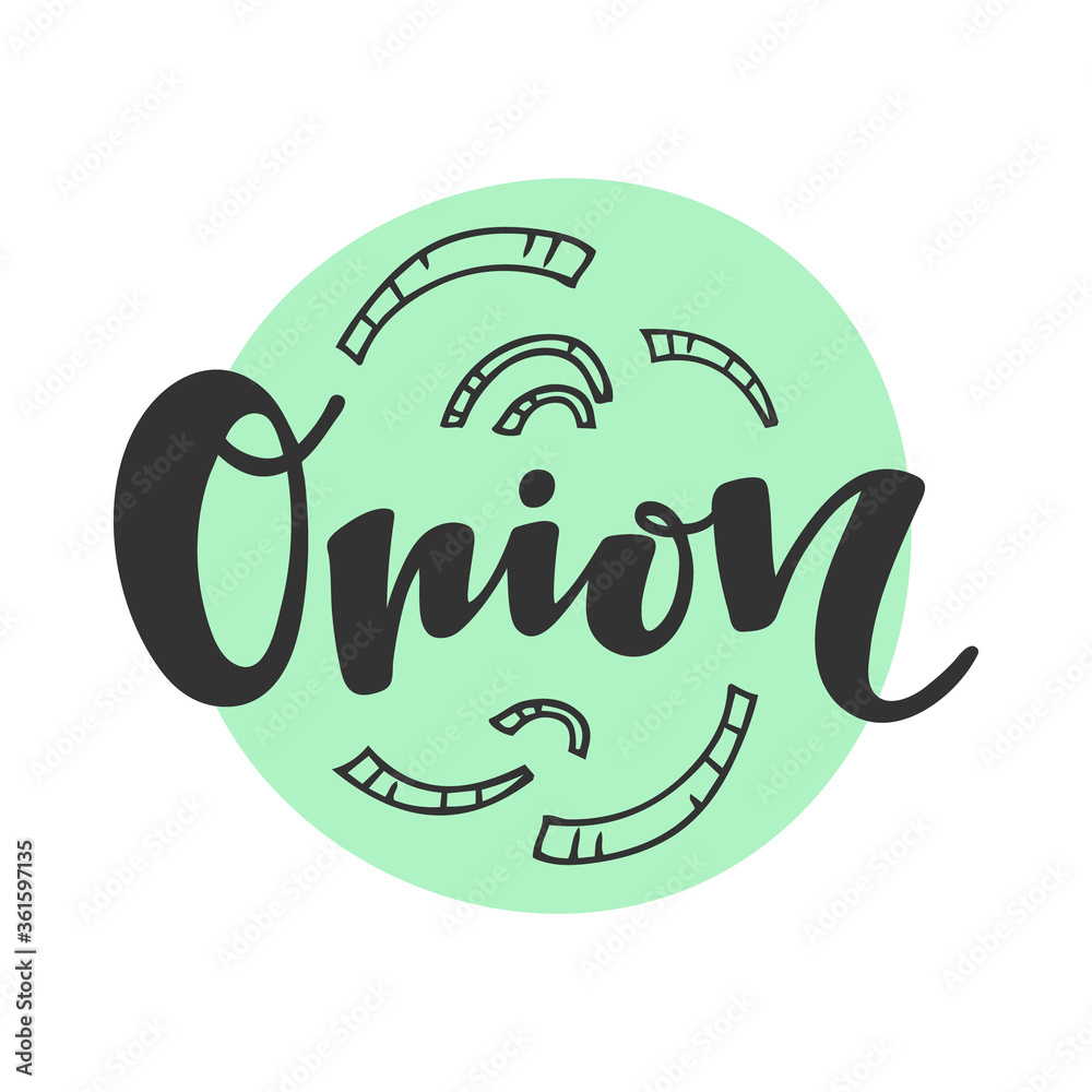 Onion vector text, hand drawn lettering Onion vector text, hand drawn lettering