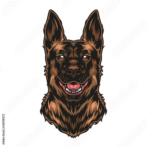 German shepherd dog colorful concept
