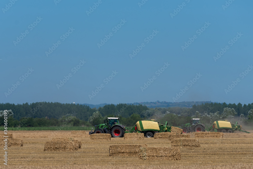 Obraz premium heavy machinery in the field performs agricultural work during the summer