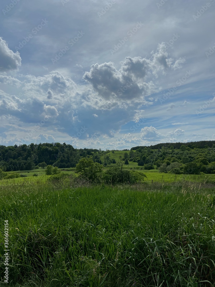 green field and blue sky