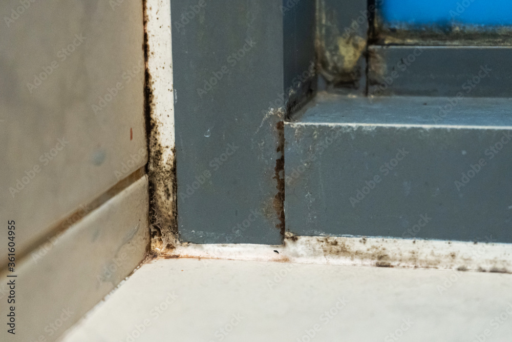 Old plastic window frame in the shower. Moldy angle, fungus. Problem areas shower. Old plastic window frame in the shower. Moldy angle, fungus. Problem areas shower.