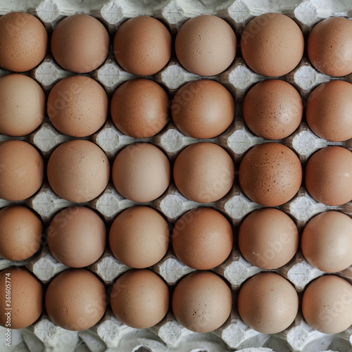 Close up of brown raw chicken eggs in a cardboard tray. Top view