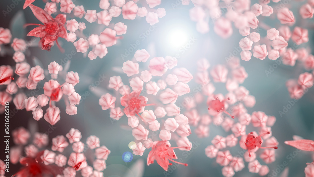 beautiful pink flowers on blurred natural background, summer concept 