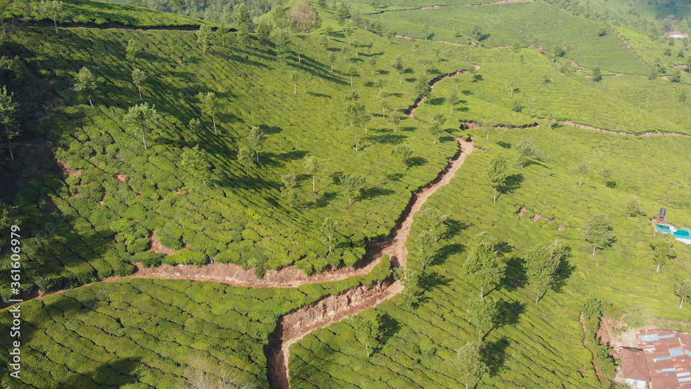 Aerial view of drone tea plantations in the vicinity of the city of Munnar. Kerala. India. Aerial view of drone tea plantations in the vicinity of the city of Munnar. Kerala. India.