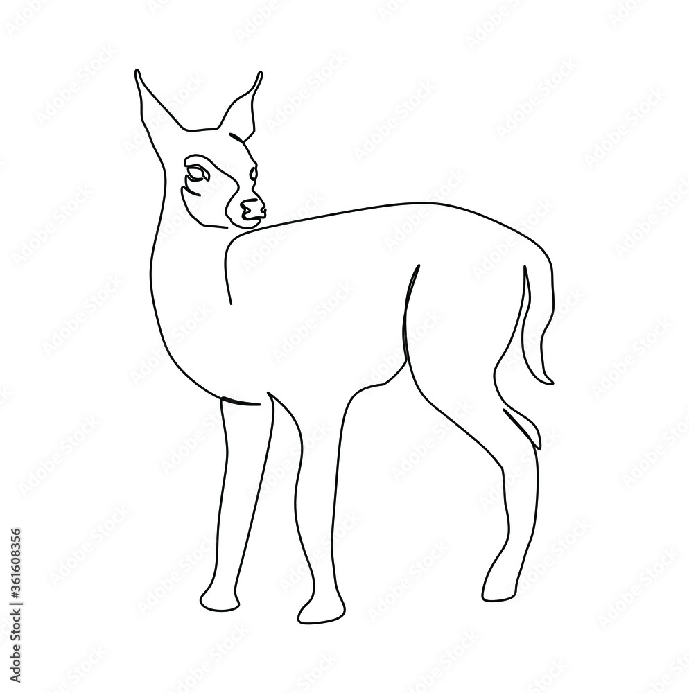 Continuous one line drawing of a Mouse Deer. Vector illustration Stock  Vector | Adobe Stock