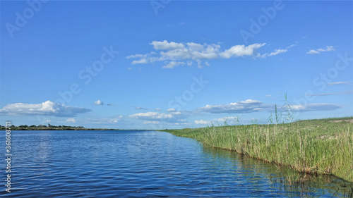 Peaceful landscape of Africa. Sunny summer day. The blue river flows calmly, green grass grows on the shore. Azure sky with picturesque clouds. Botswana, Chobe.