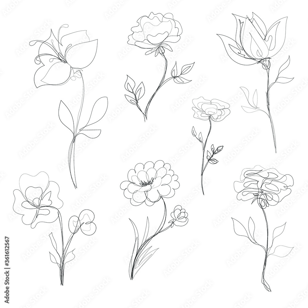 vector set of outline hand-drawn flowers, single line art illustration