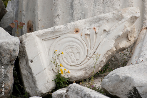White stone with carving and a yellow flower growing through the rubble