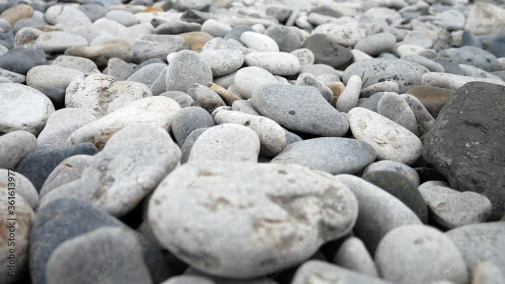 Round pebble beach grey texture stones closeup shallow focus dolly slow right Round pebble beach grey texture stones closeup shallow focus dolly slow right