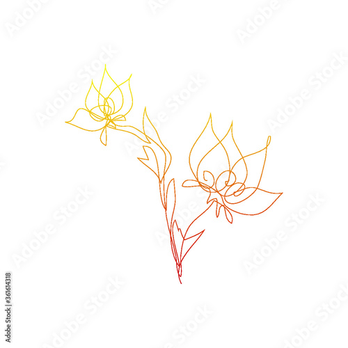 single line art vector flower illustration, outline illustration of blooming flowers