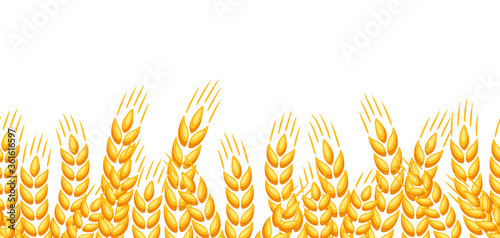 Seamless pattern with wheat.