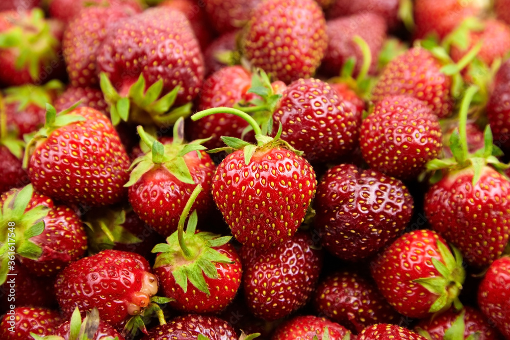 Heap of red ripe strawberries, fresh summer berries Heap of red ripe strawberries, fresh summer berries